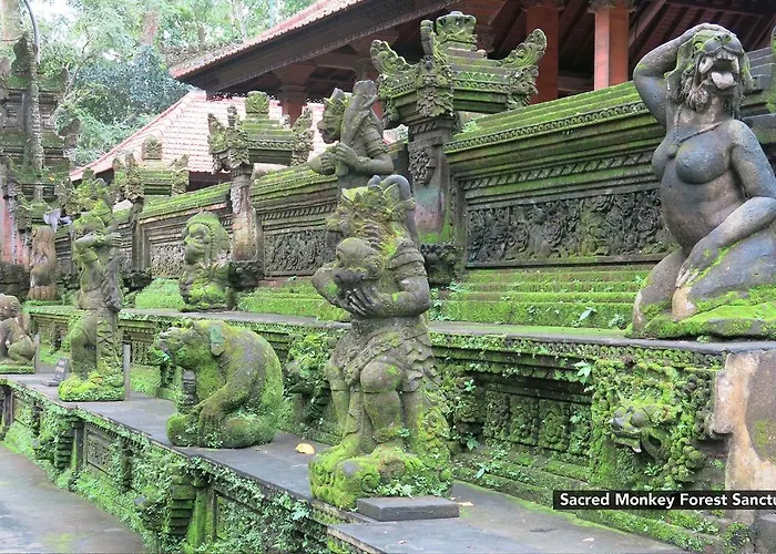 Zen Sriwedari 1